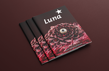 Luna* Kollektionskatalog<br>Herbst 17